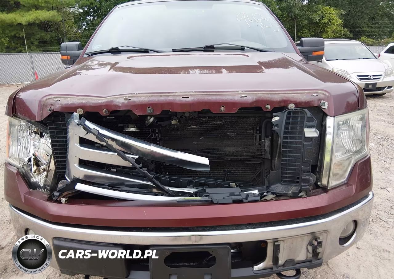 2009 Ford F-150 Fx4-King Ranch-Lariat-Platinum-Xl-Xlt VIN:1FTPW14V49KC62551 - 6