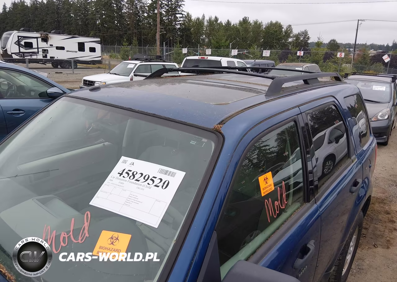 2008 Ford Escape Xlt VIN:1FMCU03Z48KB49261 - 12