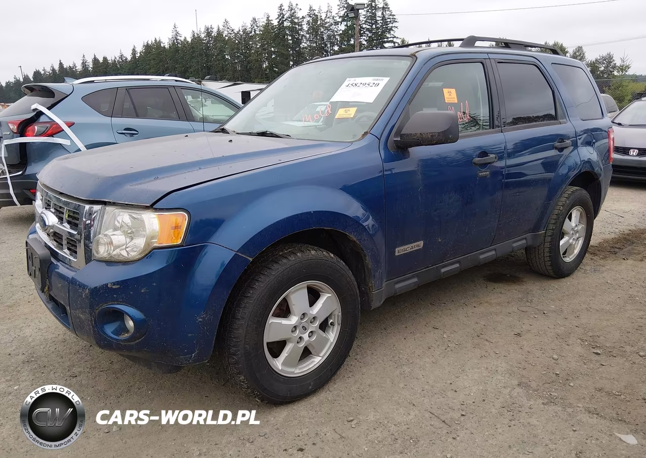2008 Ford Escape Xlt VIN:1FMCU03Z48KB49261 - 2