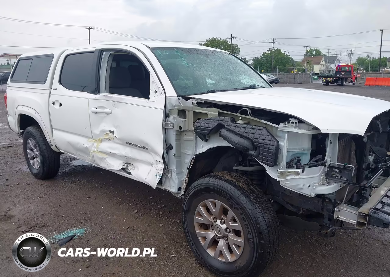 2017 Toyota Tacoma Sr5 VIN:5TFAX5GN3HX076572 - 19