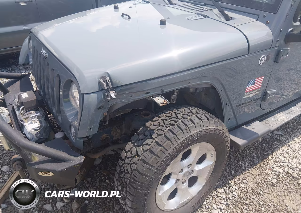 2015 Jeep Wrangler Unlimited Sahara VIN:1C4BJWEG9FL647048 - 6