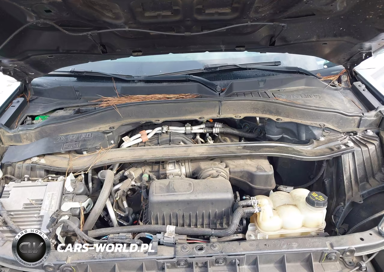 2021 Ford Police Interceptor Utility VIN:1FM5K8AB5MGB21548 - 10