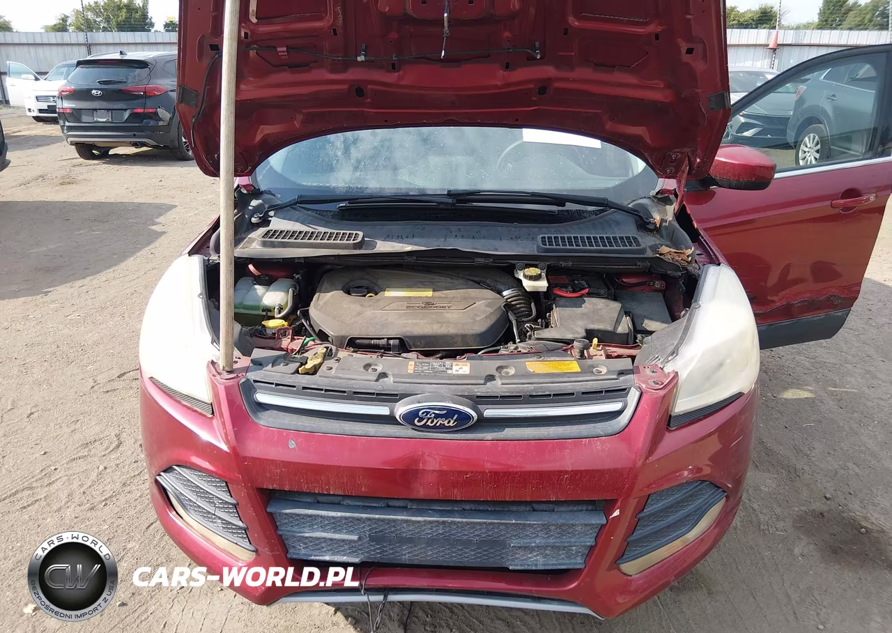 2014 Ford Escape Se VIN:1FMCU0GX8EUC29901 - 10