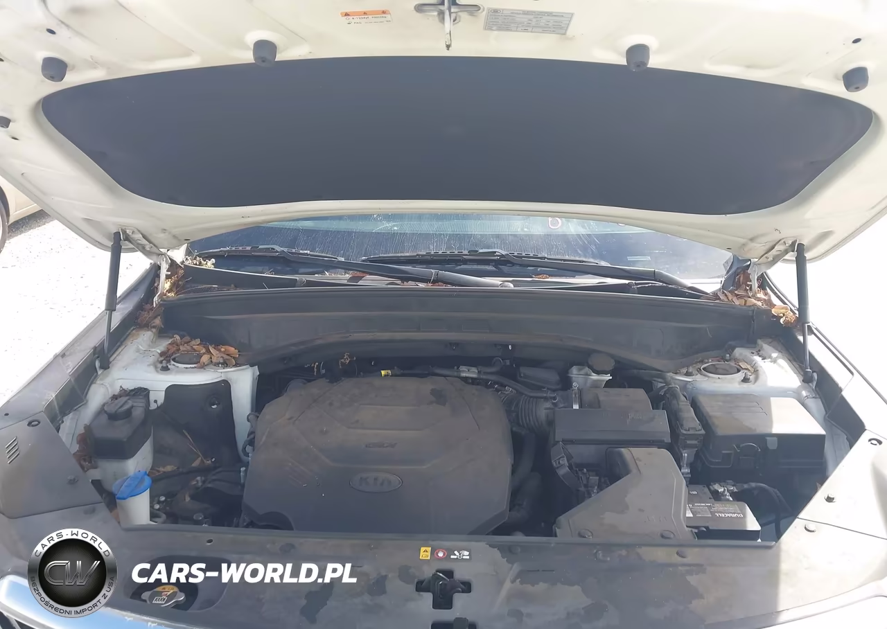2020 Kia Telluride Ex VIN:5XYP34HC3LG003274 - 10