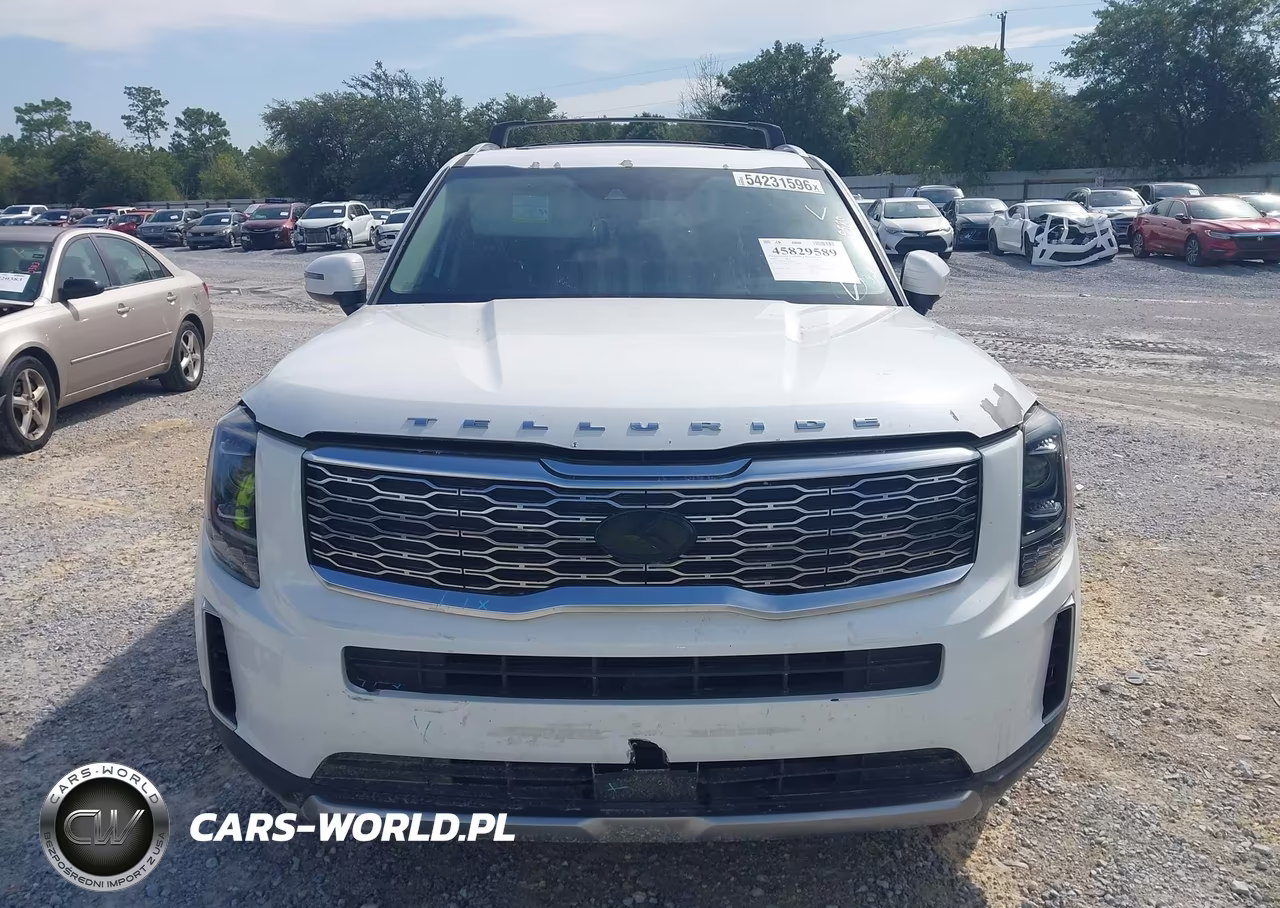 2020 Kia Telluride Ex VIN:5XYP34HC3LG003274 - 12