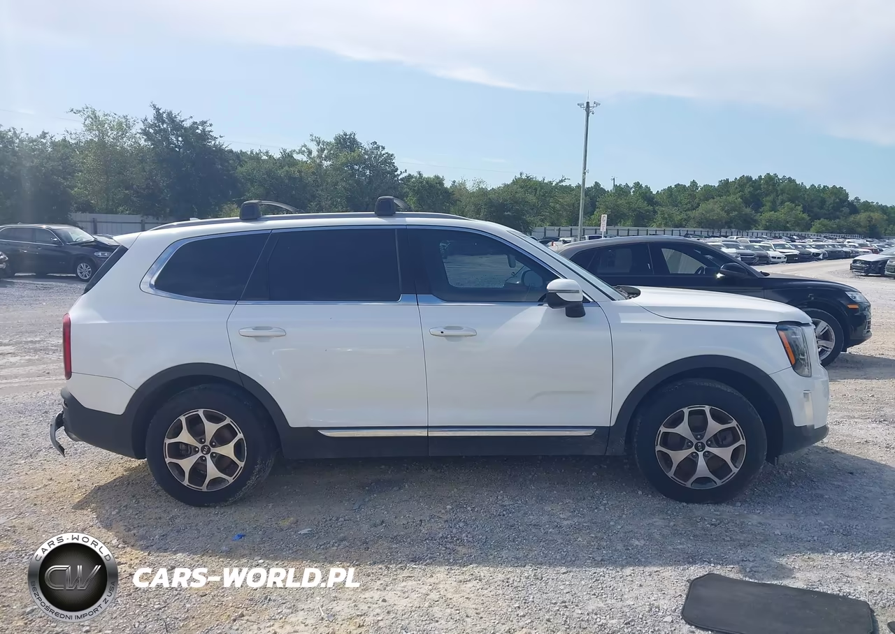 2020 Kia Telluride Ex VIN:5XYP34HC3LG003274 - 13