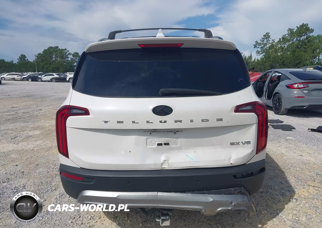 2020 Kia Telluride Ex VIN:5XYP34HC3LG003274 - 16