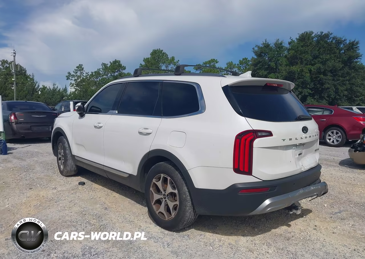 2020 Kia Telluride Ex VIN:5XYP34HC3LG003274 - 3