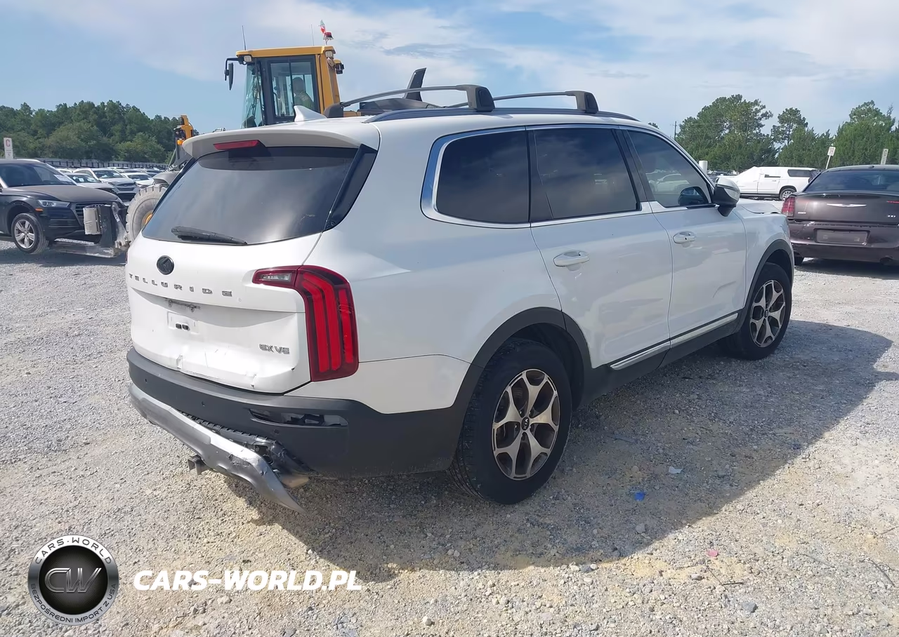 2020 Kia Telluride Ex VIN:5XYP34HC3LG003274 - 4