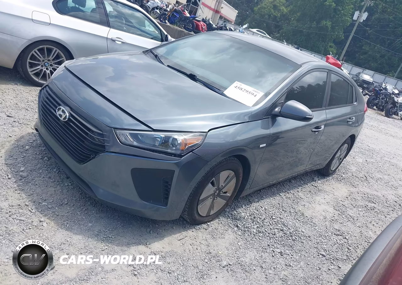 2019 Hyundai Ioniq Hybrid Blue VIN:KMHC65LC7KU168367 - 2