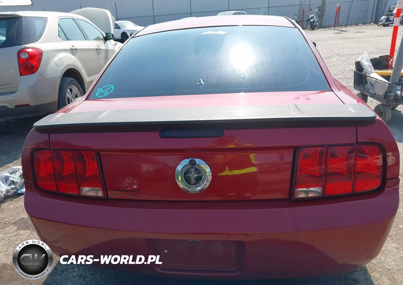 2008 Ford Mustang V6 Deluxe-V6 Premium VIN:1ZVHT80N585110090 - 17