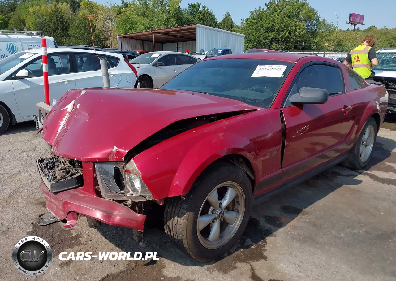 2008 Ford Mustang V6 Deluxe-V6 Premium VIN:1ZVHT80N585110090 - 2