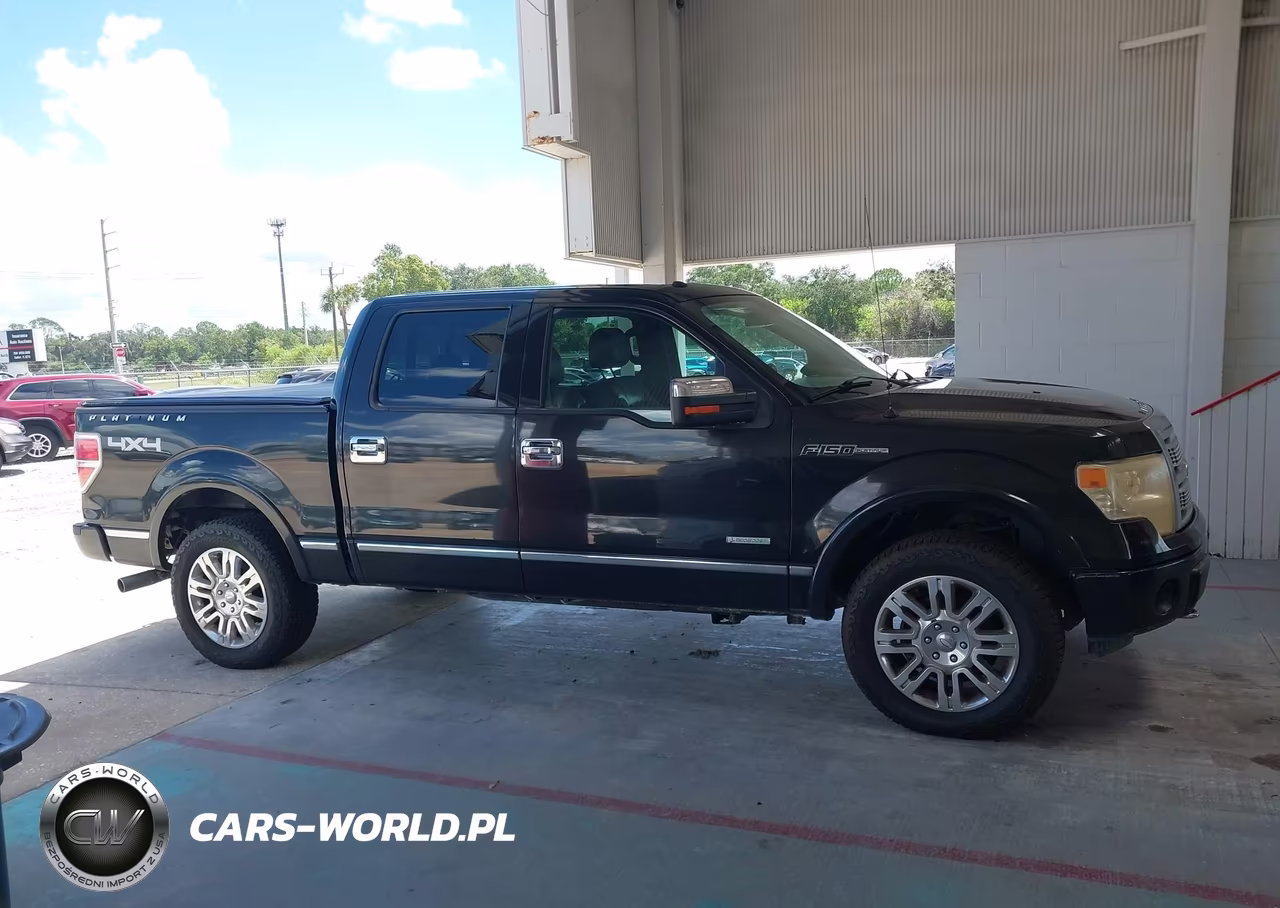2012 Ford F-150 Platinum VIN:1FTFW1ET2CFA81733 - 13