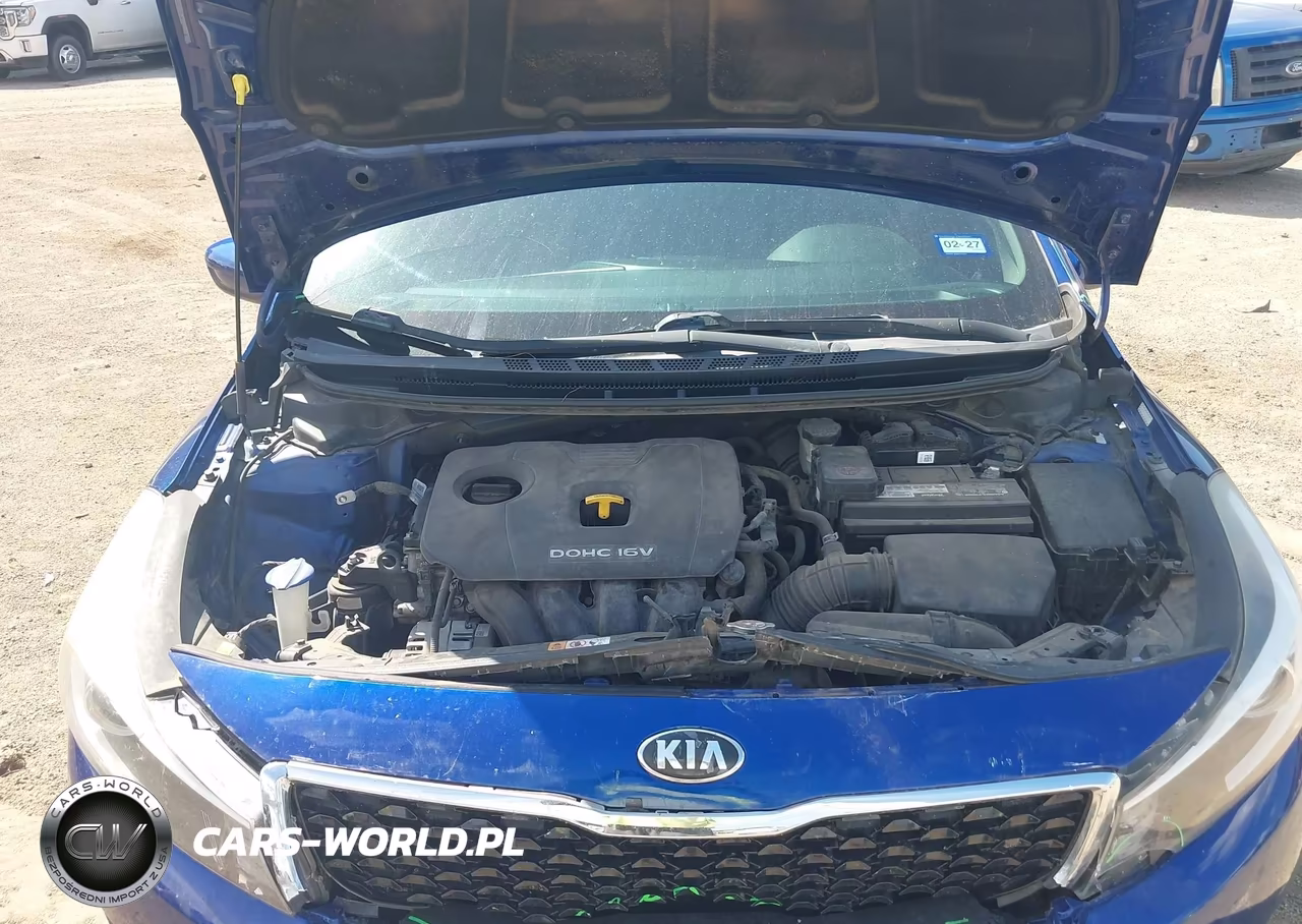 2017 Kia Forte Lx VIN:3KPFL4A77HE009317 - 10