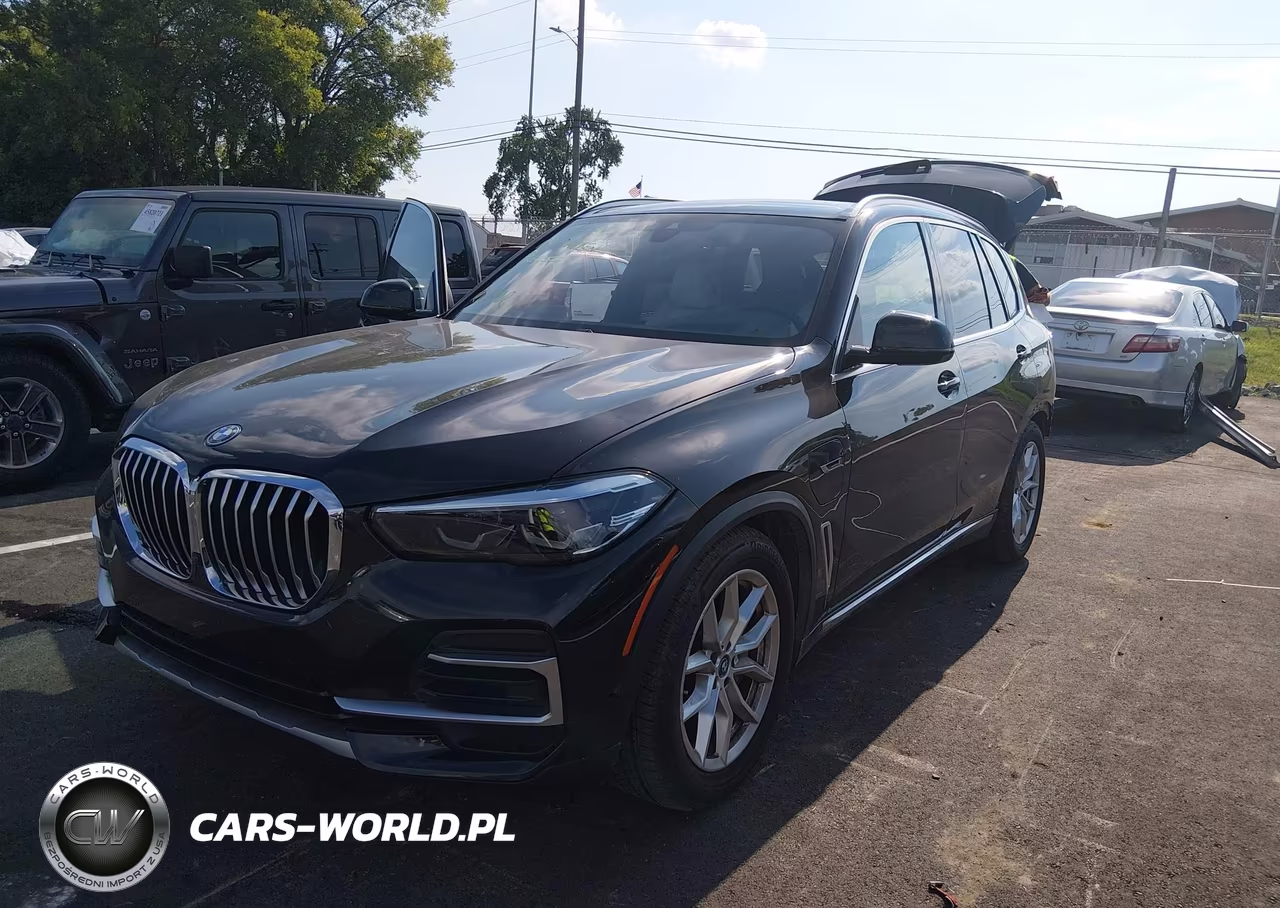 2023 BMW X5 Phev xDrive45E VIN:5UXTA6C04P9R95007 - 2