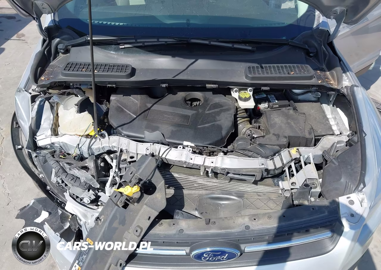 2014 Ford Escape Se VIN:1FMCU0G9XEUE52037 - 10