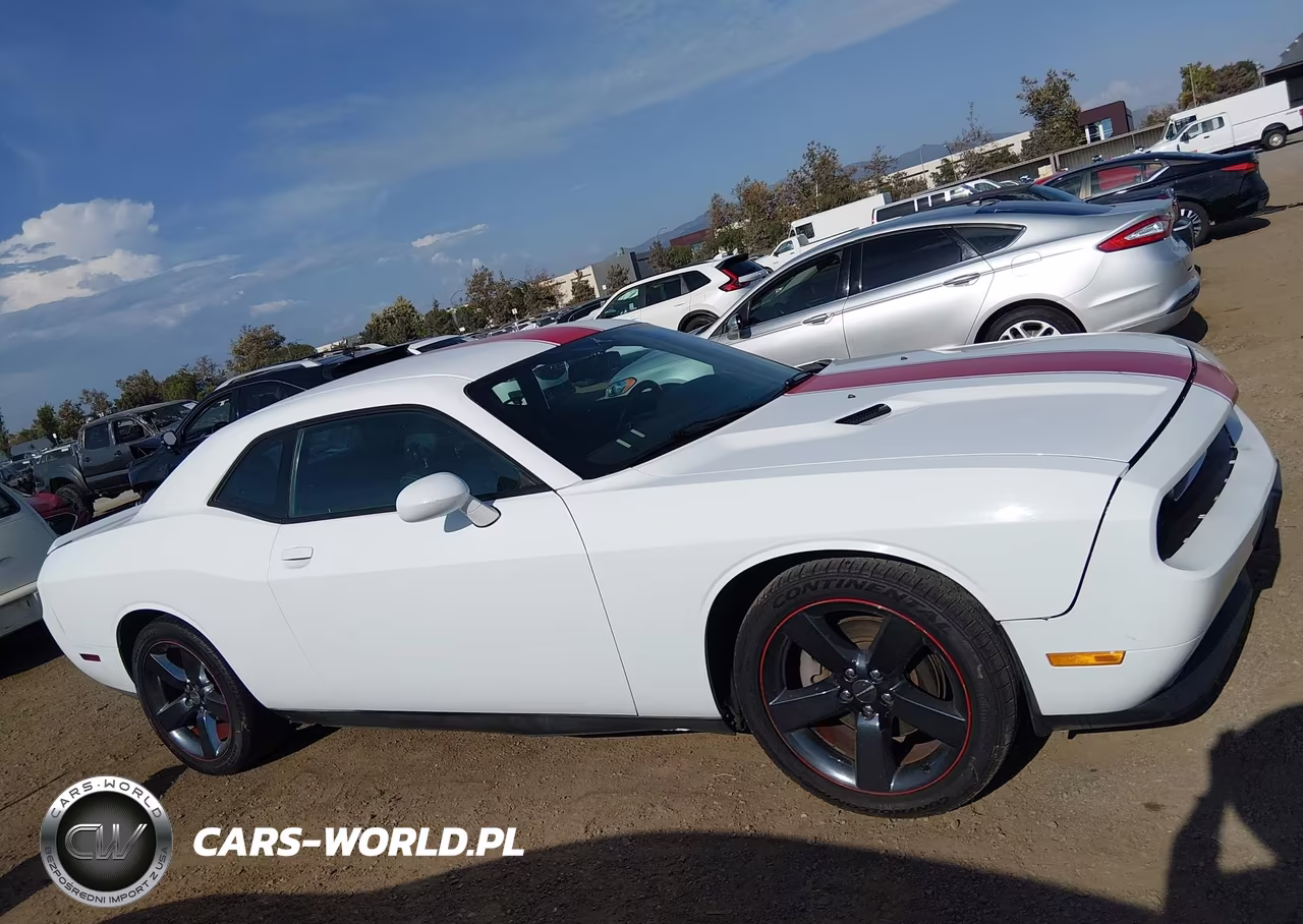 2013 Dodge Challenger Rallye Redline VIN:2C3CDYAG9DH545017 - 13