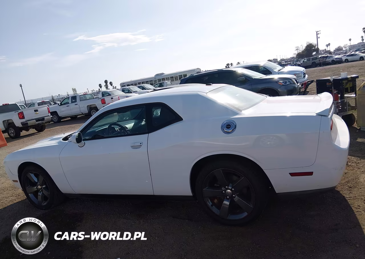 2013 Dodge Challenger Rallye Redline VIN:2C3CDYAG9DH545017 - 14