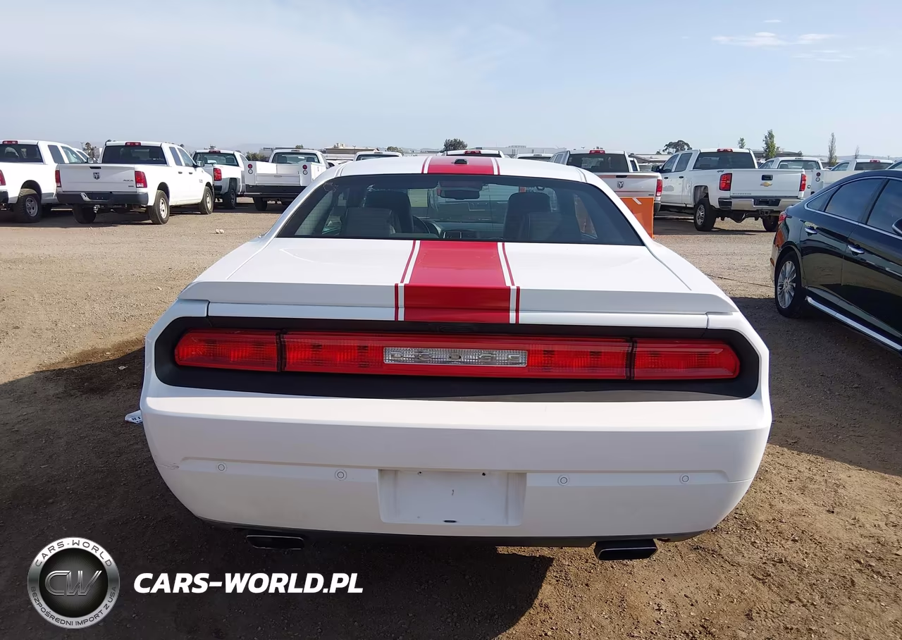 2013 Dodge Challenger Rallye Redline VIN:2C3CDYAG9DH545017 - 16