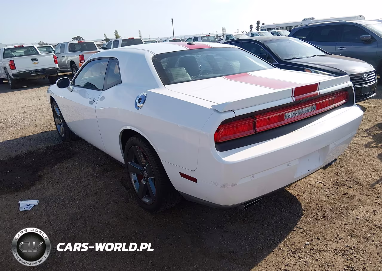 2013 Dodge Challenger Rallye Redline VIN:2C3CDYAG9DH545017 - 3