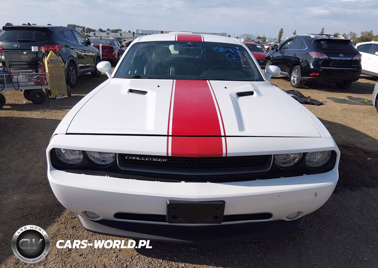 2013 Dodge Challenger Rallye Redline VIN:2C3CDYAG9DH545017 - 6