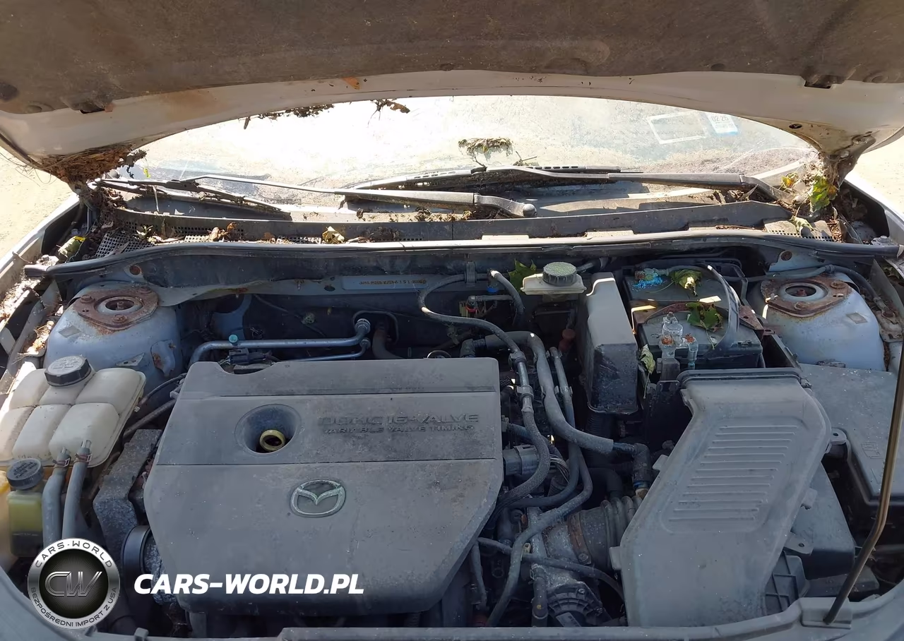 2006 Mazda Mazda3 S VIN:JM1BK123161516306 - 10