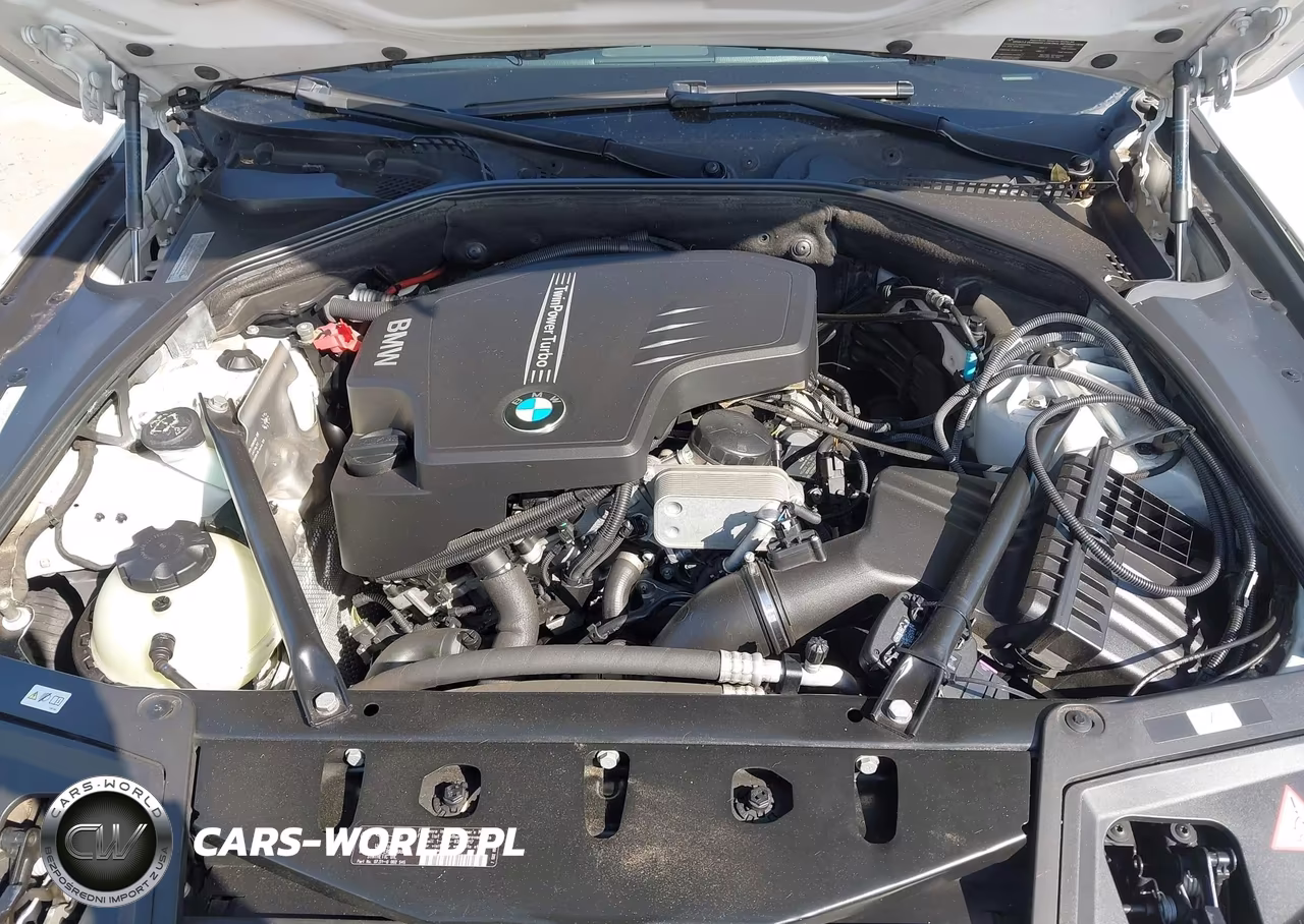 2014 BMW 528I VIN:WBA5A5C59ED512120 - 10