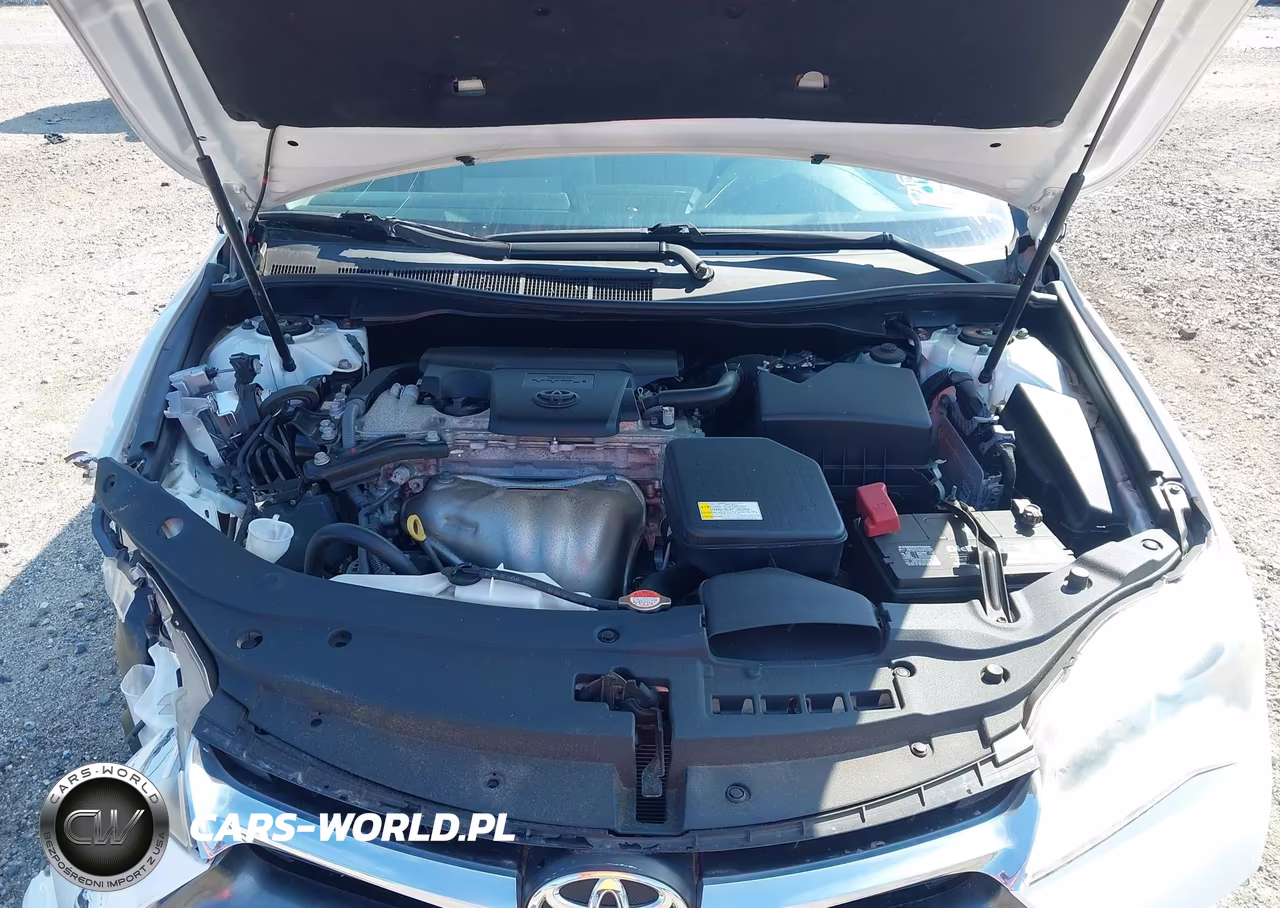 2016 Toyota Camry Le VIN:4T4BF1FK4GR528411 - 10