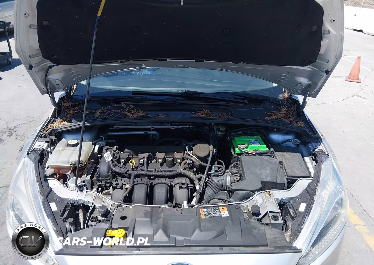 2015 Ford Focus Se VIN:1FADP3K25FL358365 - 10