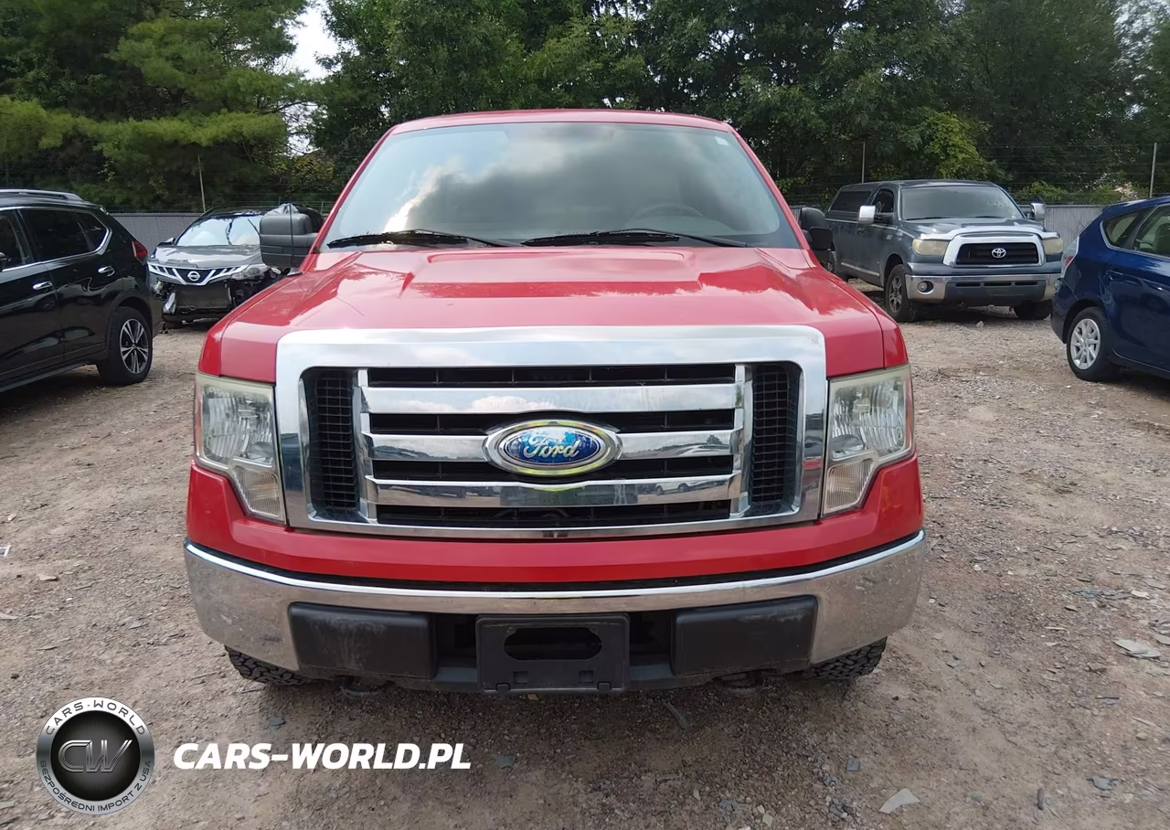 2009 Ford F-150 Fx4-King Ranch-Lariat-Platinum-Xl-Xlt VIN:1FTPW14VX9FA01434 - 12