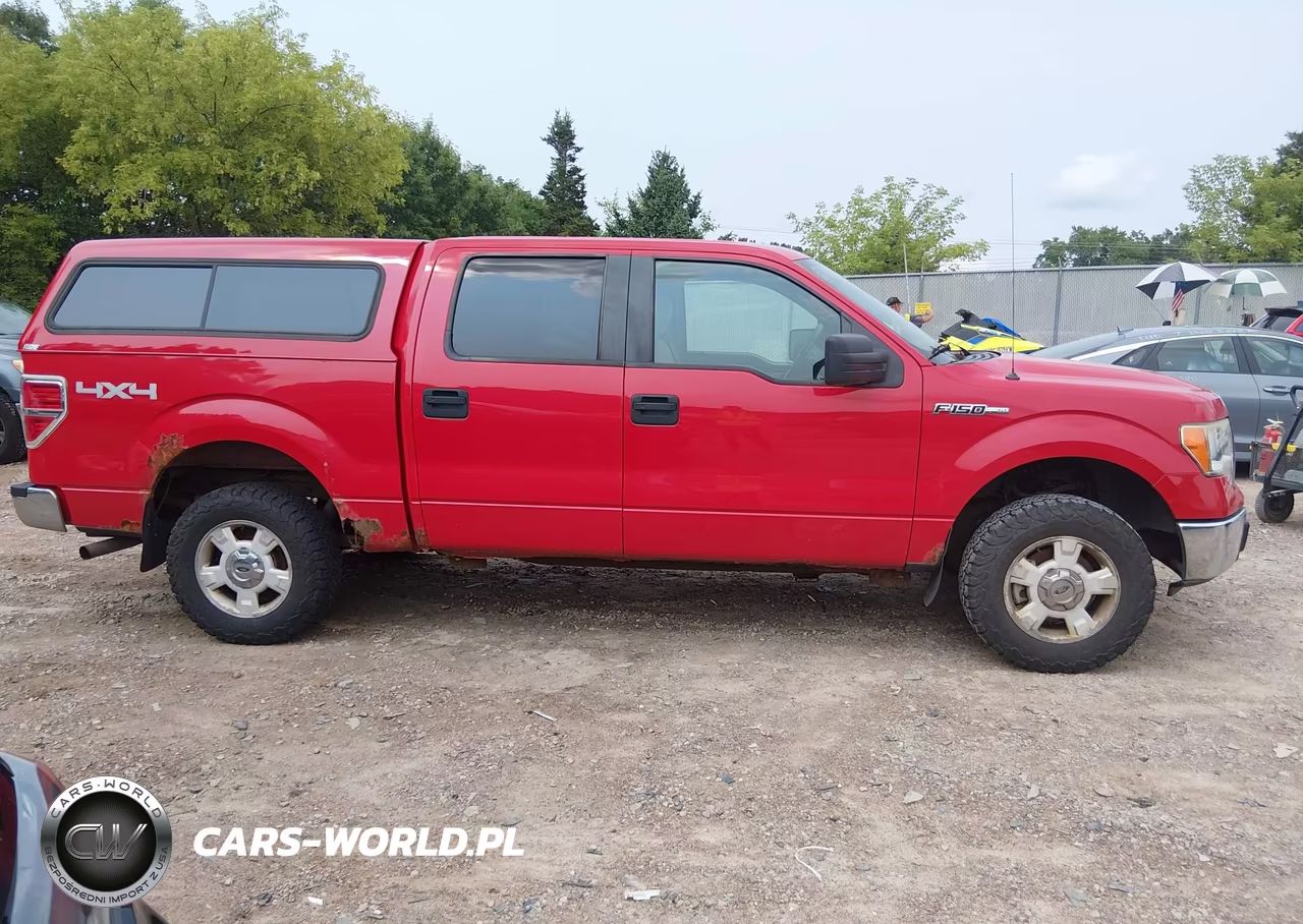 2009 Ford F-150 Fx4-King Ranch-Lariat-Platinum-Xl-Xlt VIN:1FTPW14VX9FA01434 - 13