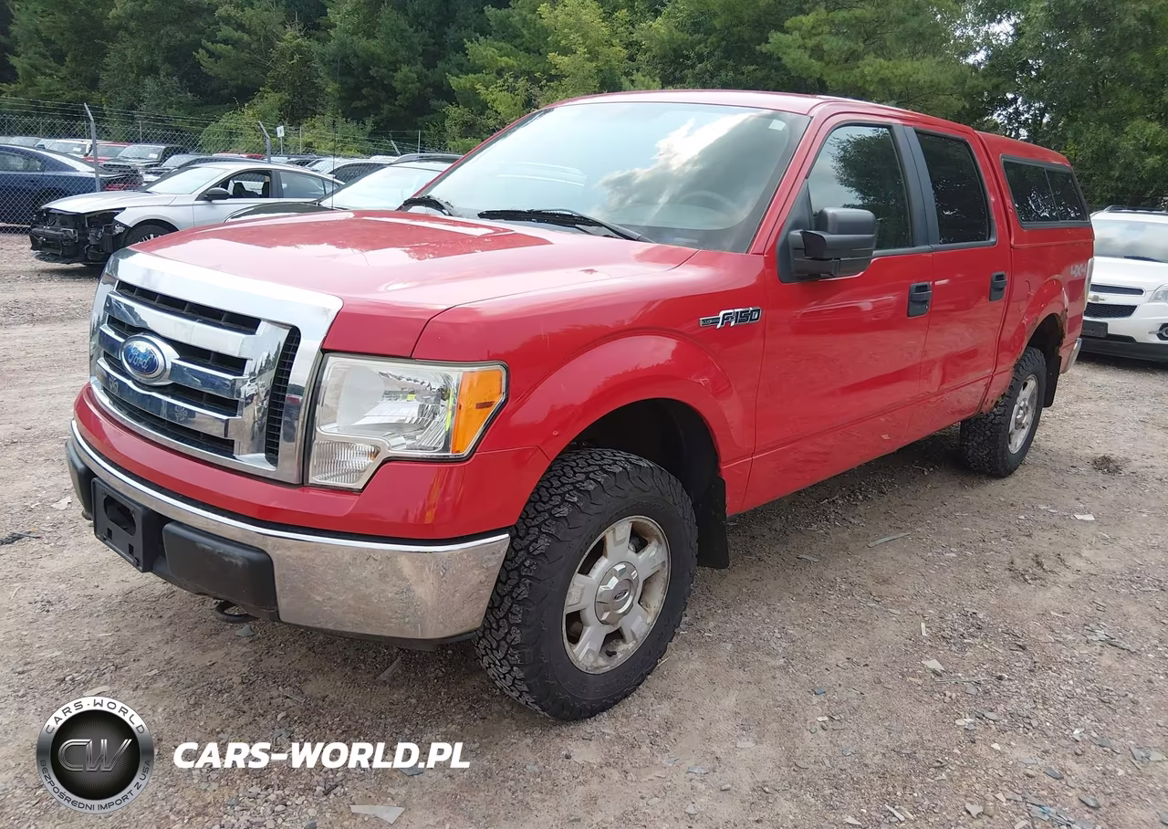 2009 Ford F-150 Fx4-King Ranch-Lariat-Platinum-Xl-Xlt VIN:1FTPW14VX9FA01434 - 2
