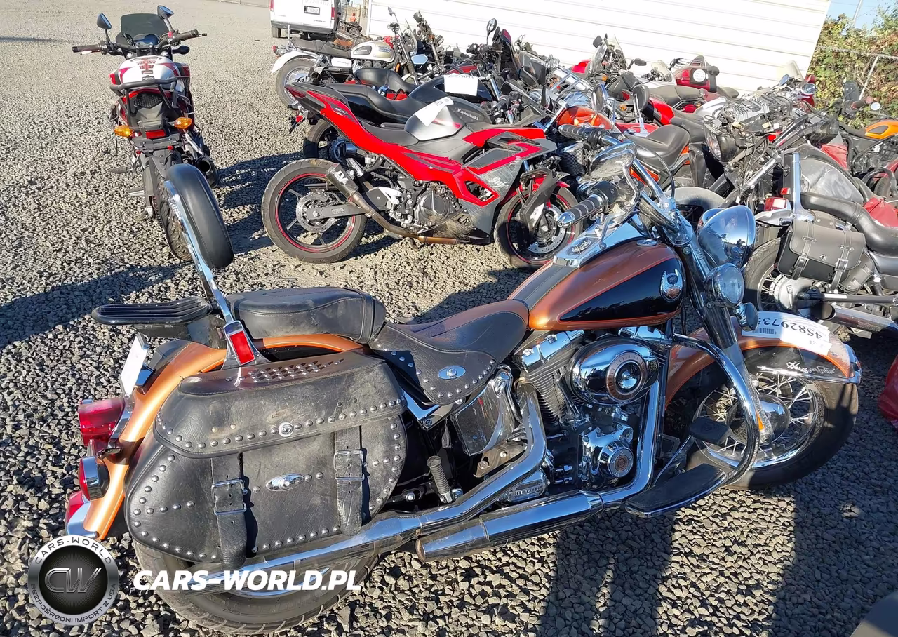 2008 Harley-Davidson Flstc 105Th Anniversary Edition VIN:1HD1BW55X8Y037929 - 12