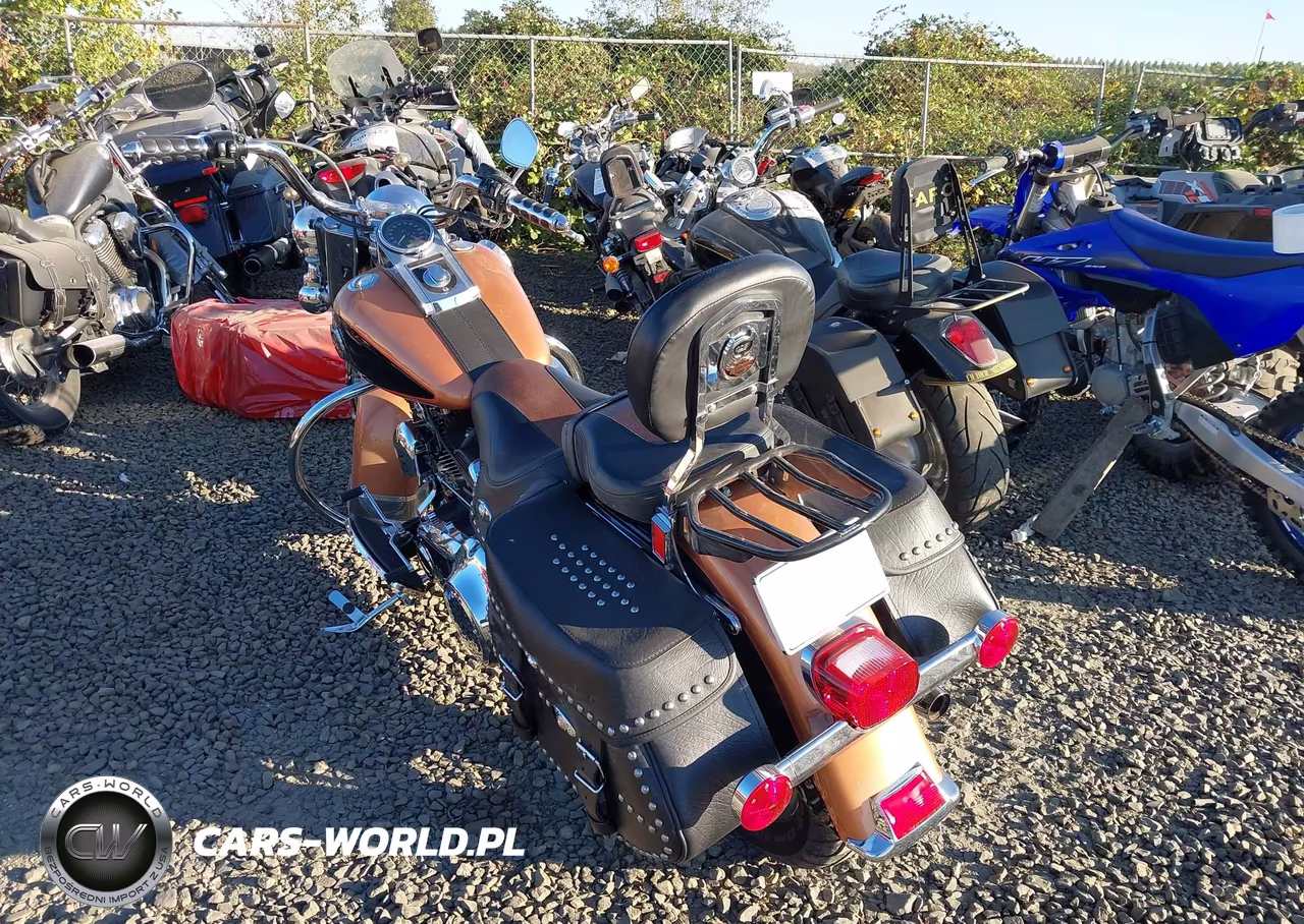 2008 Harley-Davidson Flstc 105Th Anniversary Edition VIN:1HD1BW55X8Y037929 - 3