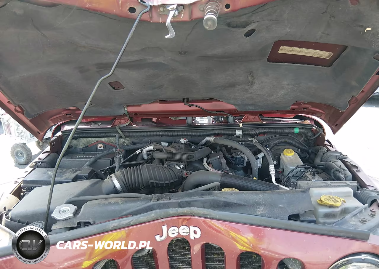 2009 Jeep Wrangler Sahara VIN:1J4FA54119L766154 - 10