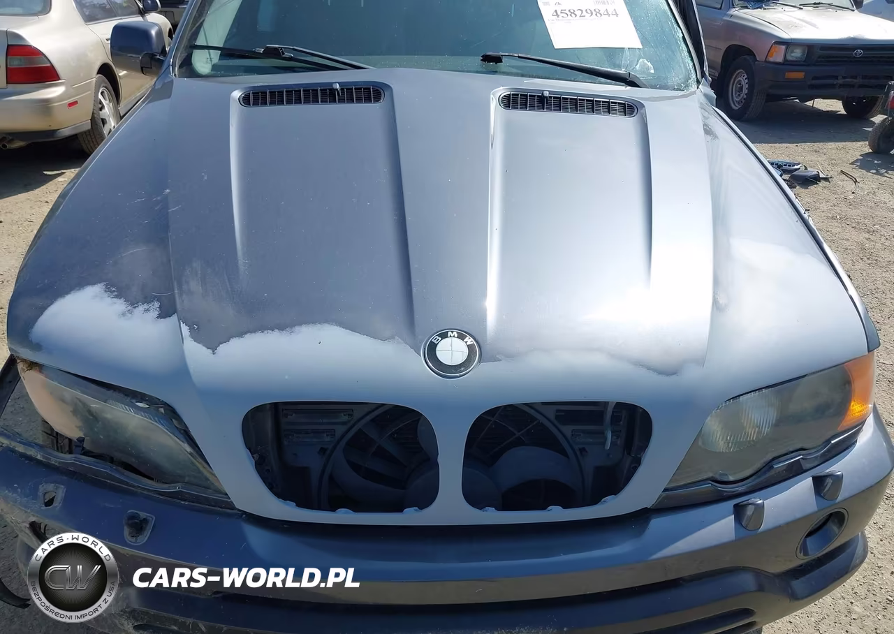 2002 BMW X5 3.0I VIN:5UXFA53522LP36174 - 10