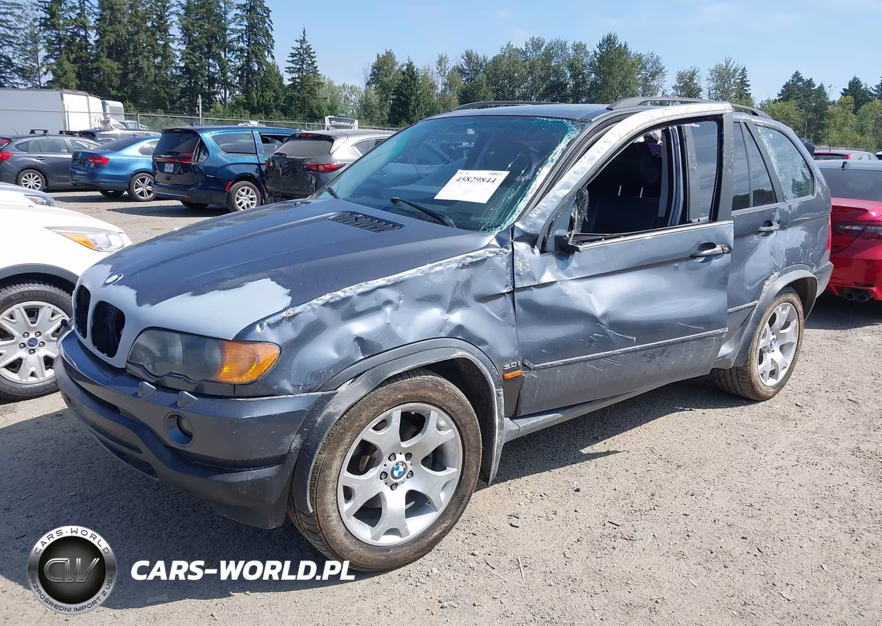 2002 BMW X5 3.0I VIN:5UXFA53522LP36174 - 2