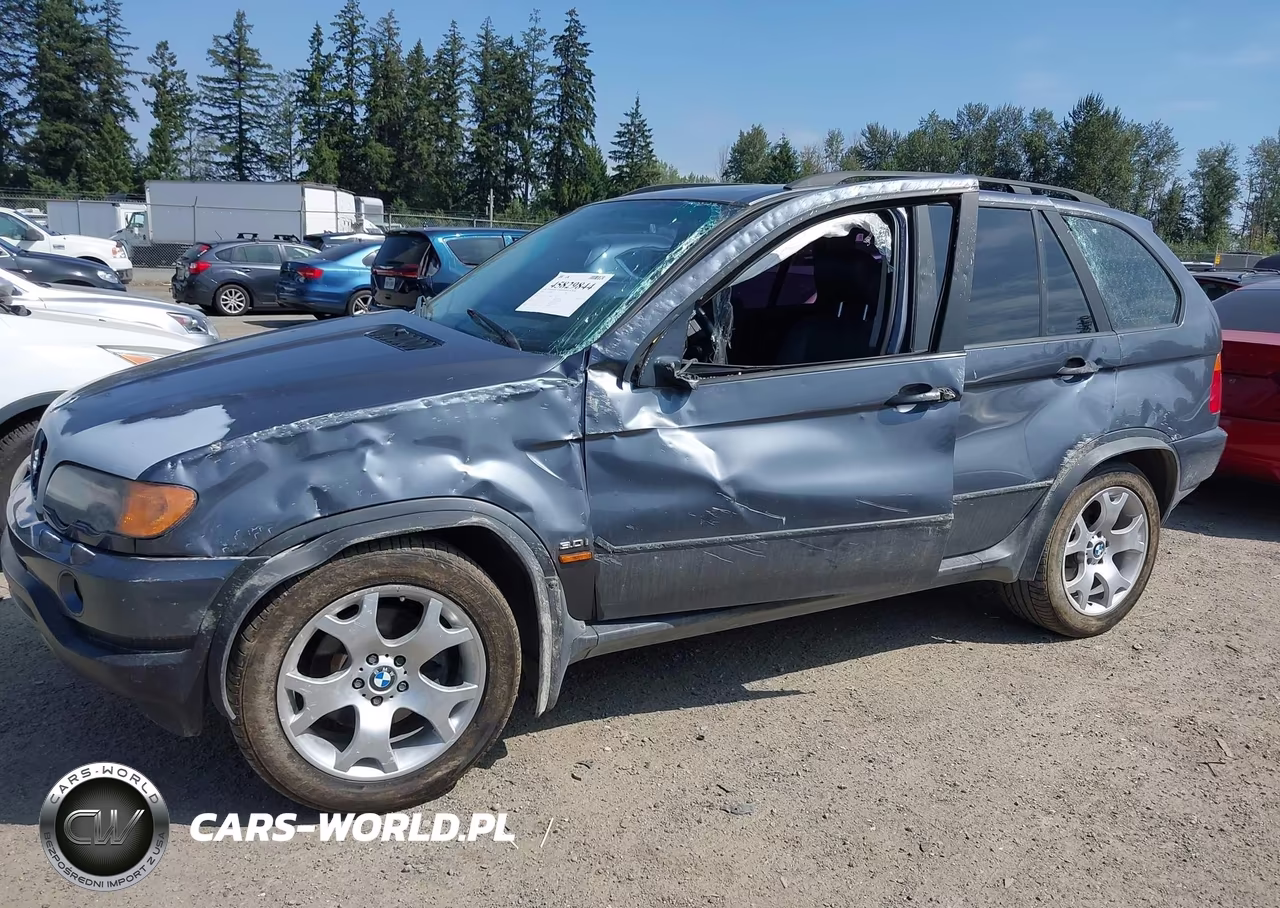 2002 BMW X5 3.0I VIN:5UXFA53522LP36174 - 6