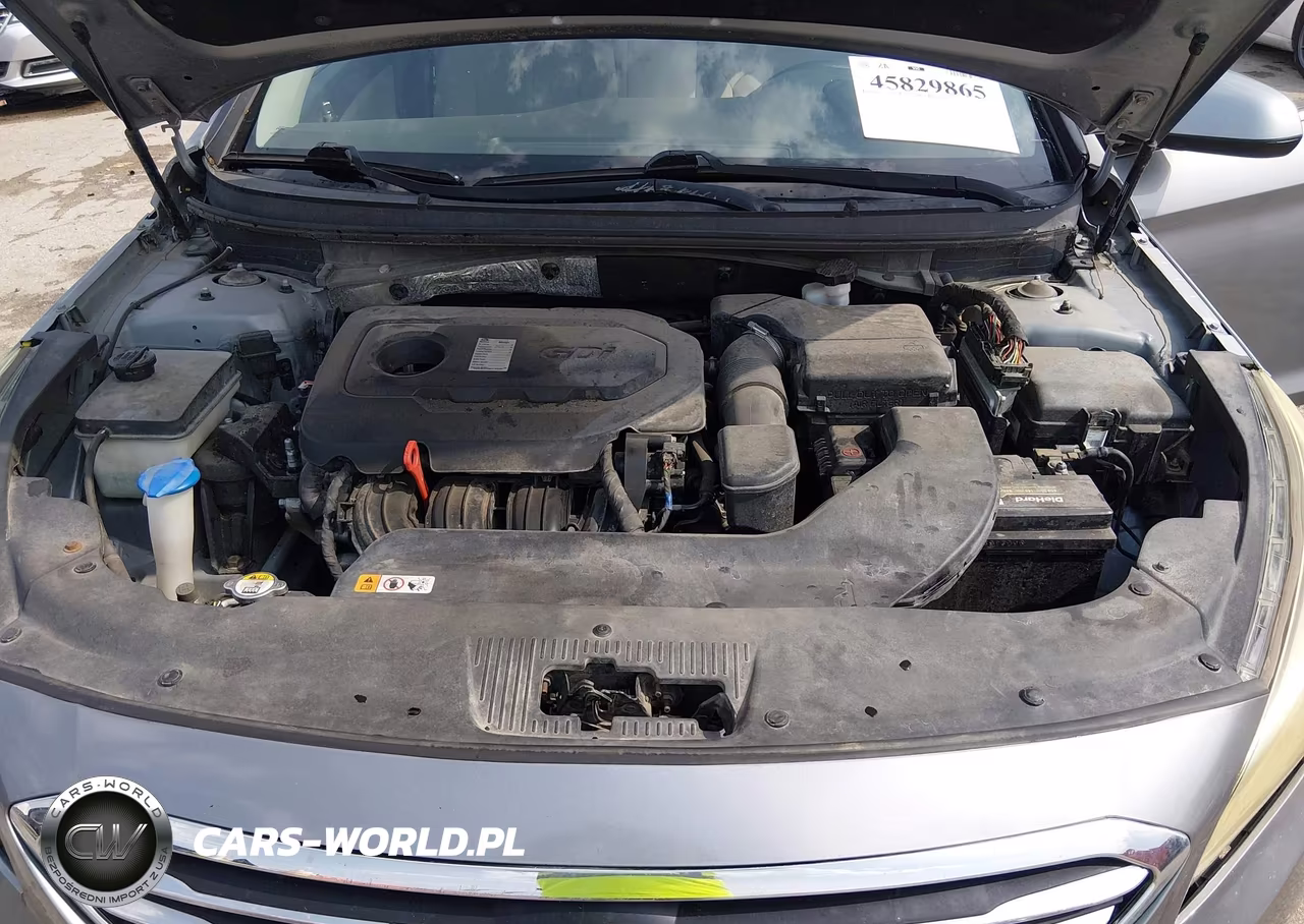2016 Hyundai Sonata Se VIN:5NPE24AF6GH373700 - 10