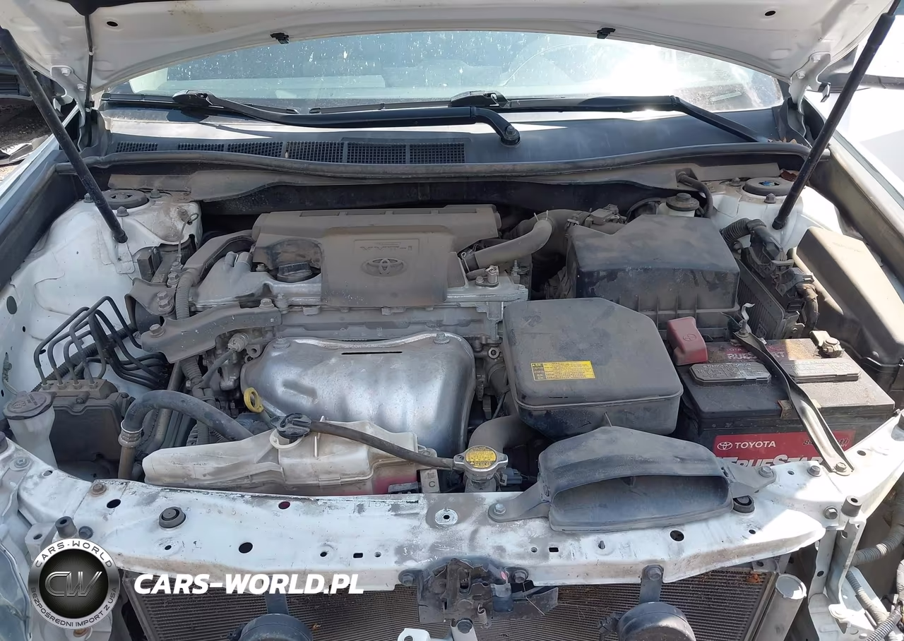 2014 Toyota Camry Se VIN:4T1BF1FK4EU469934 - 10