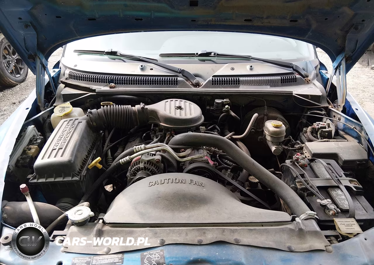 1999 Dodge Dakota Slt-Sport VIN:1B7FL26X2XS258181 - 10