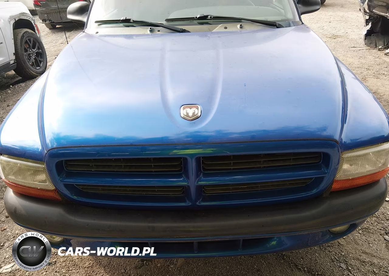 1999 Dodge Dakota Slt-Sport VIN:1B7FL26X2XS258181 - 6