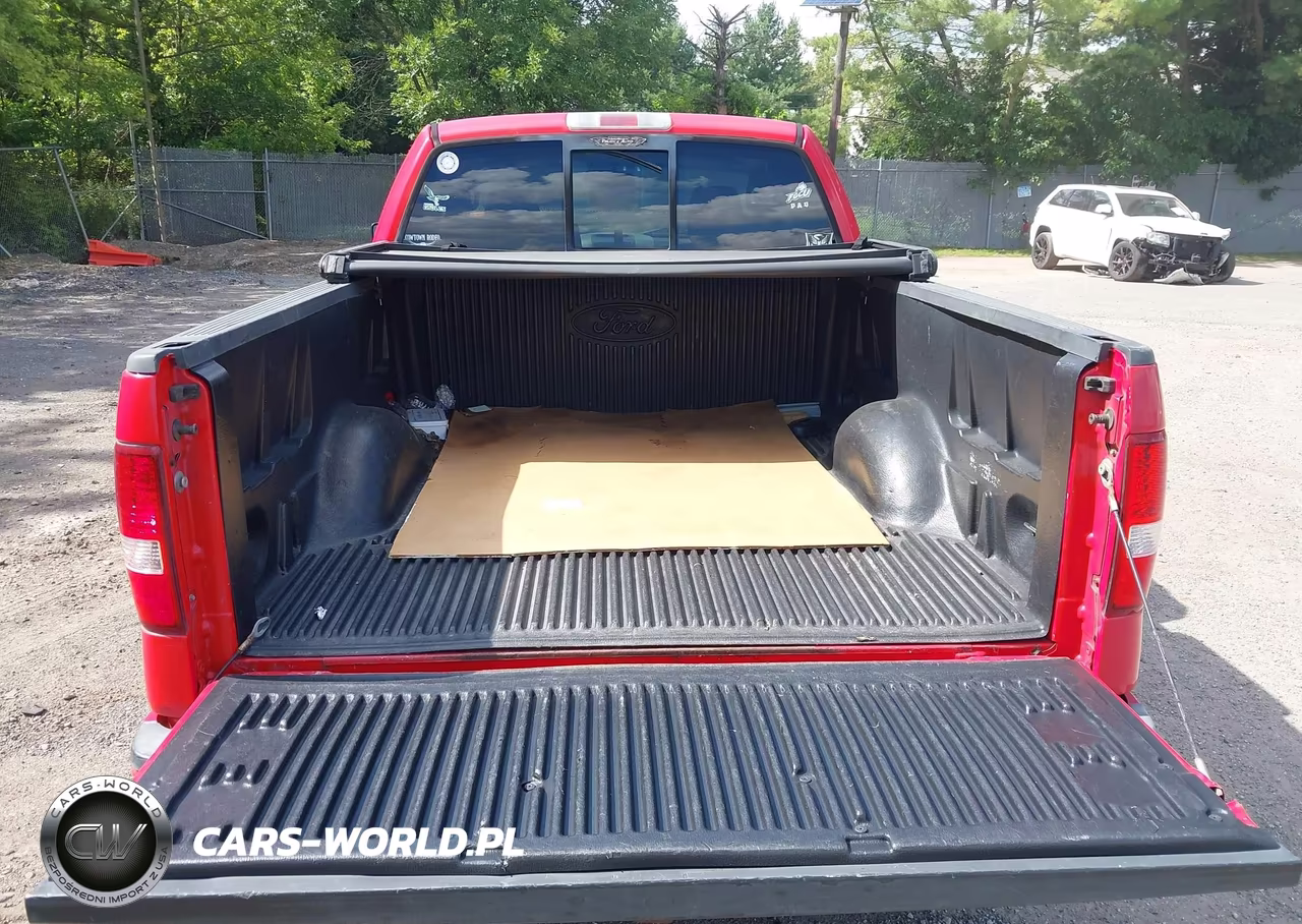 2004 Ford F-150 Fx4-Lariat-Xl-Xlt VIN:1FTPX145X4NA49995 - 12