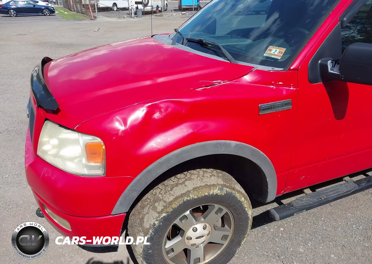 2004 Ford F-150 Fx4-Lariat-Xl-Xlt VIN:1FTPX145X4NA49995 - 6