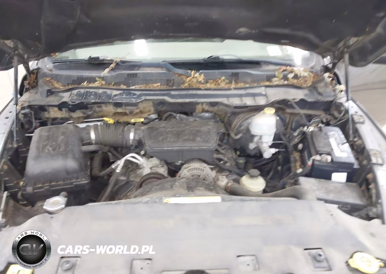 2009 Dodge Ram 1500 St VIN:1D3HV18P99S776549 - 10