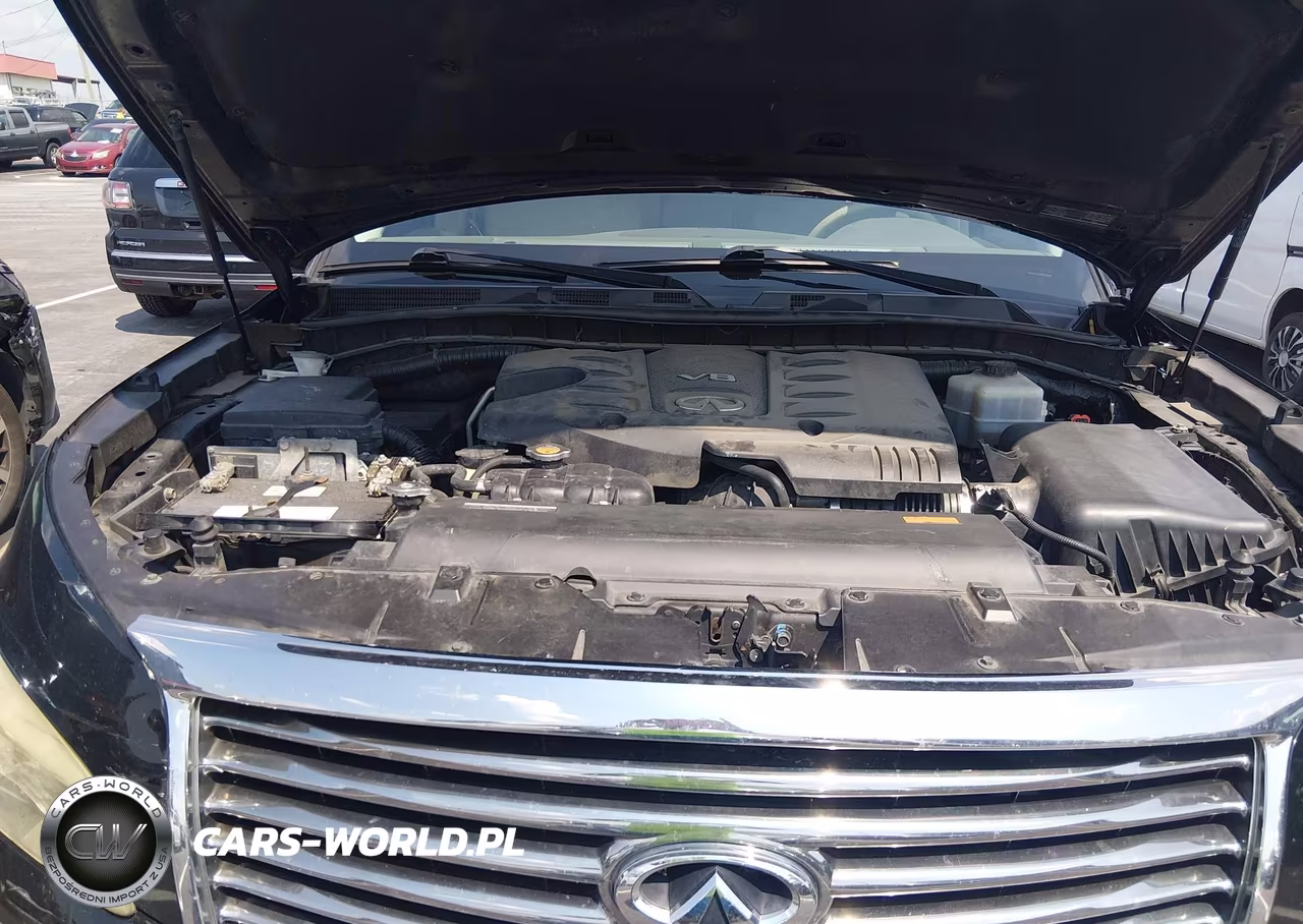 2014 Infiniti Qx80 VIN:JN8AZ2NDXE9751308 - 10