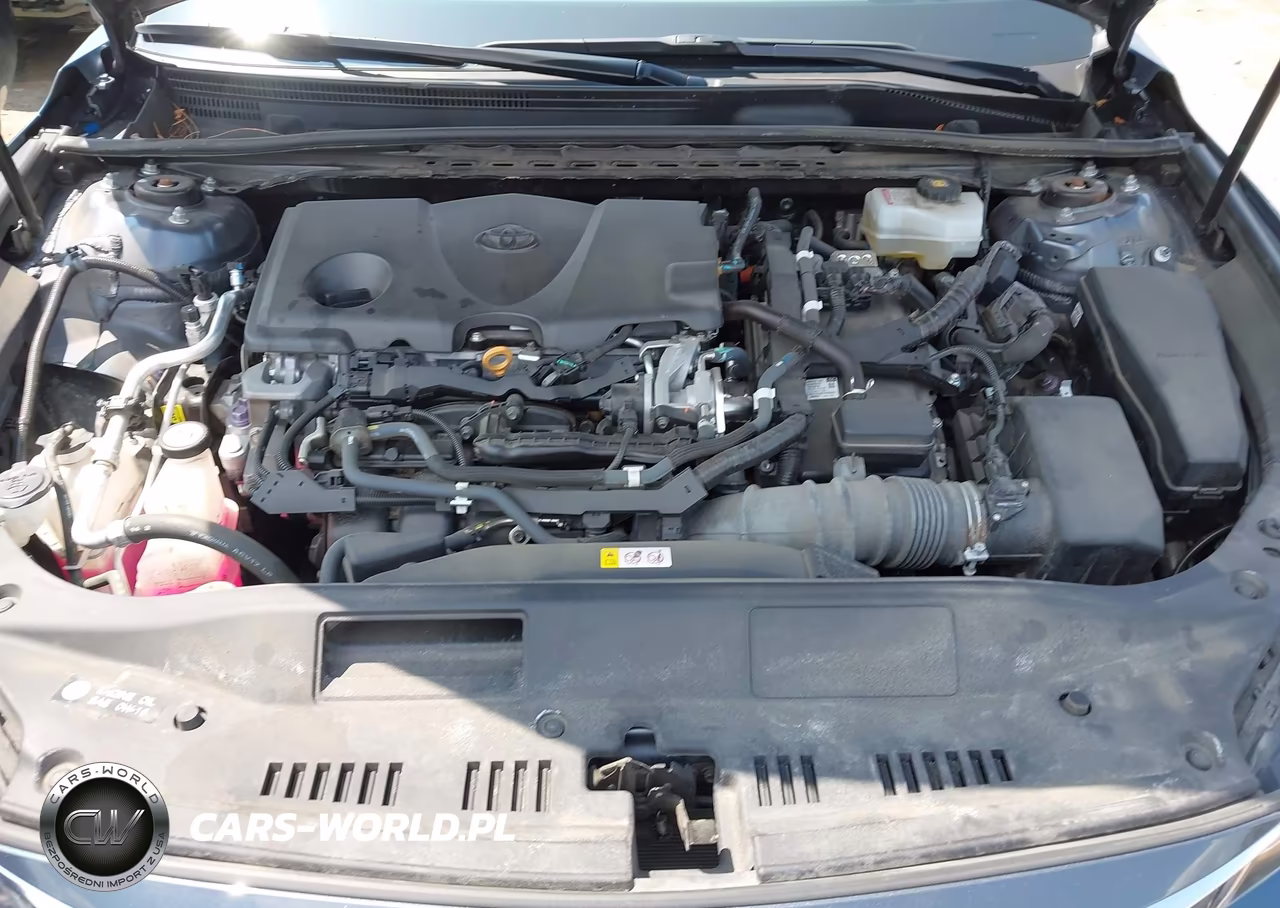 2020 Toyota Avalon Hybrid Xle VIN:4T1J21FB3LU013590 - 10