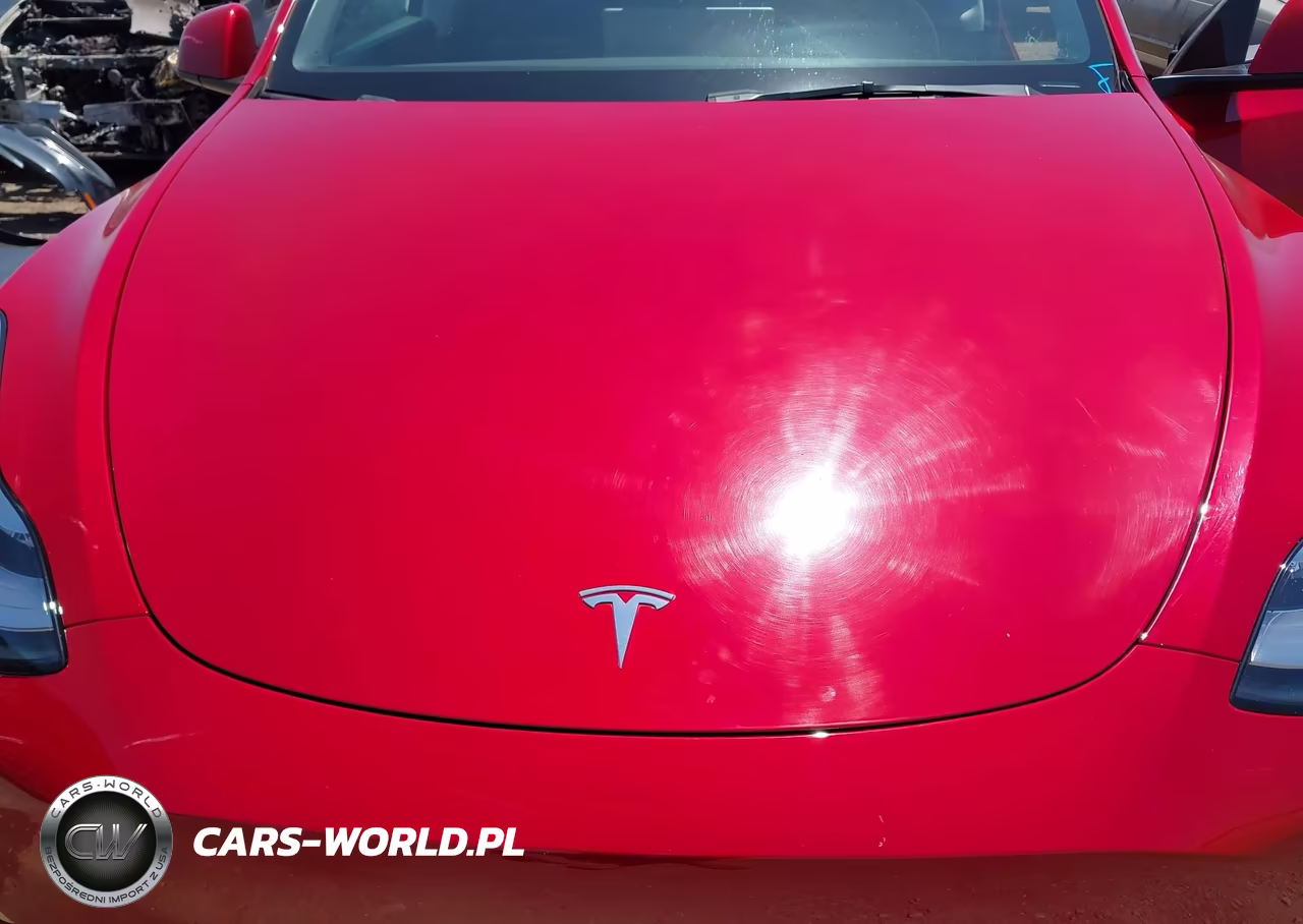2021 Tesla Model Y Long Range Dual Motor All-Wheel Drive VIN:5YJYGDEE1MF232379 - 10