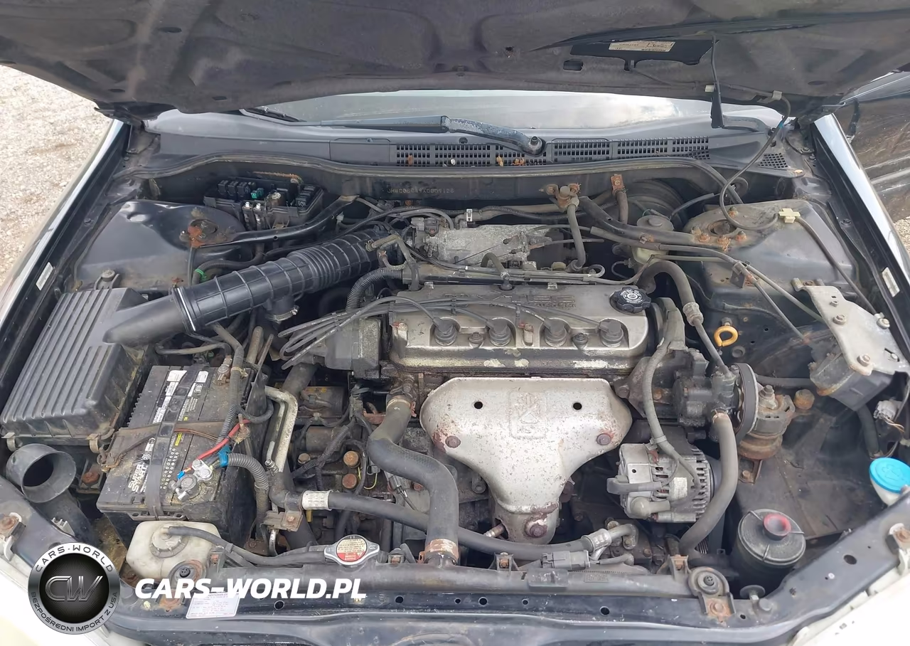1999 Honda Accord Lx VIN:JHMCG5649XC009125 - 10