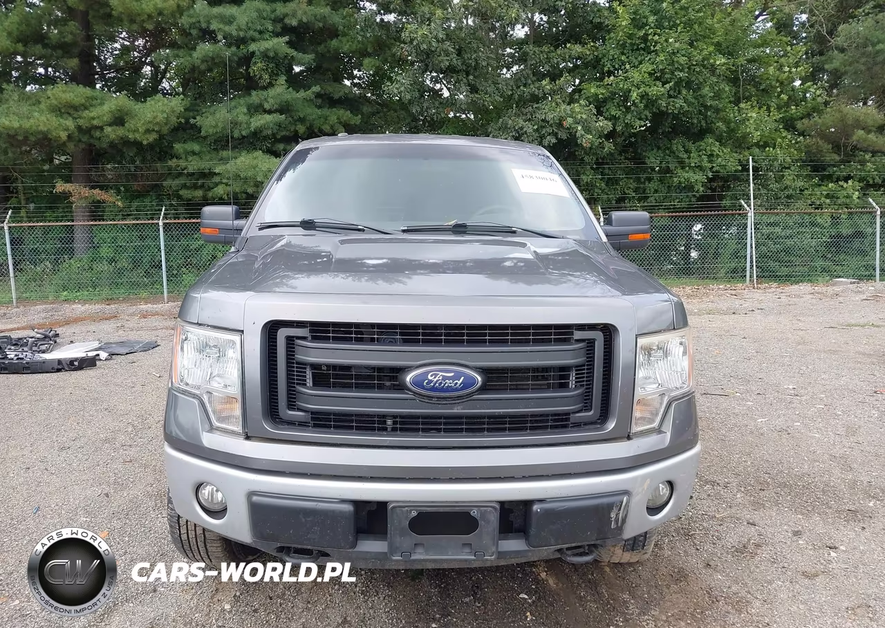 2013 Ford F-150 Stx VIN:1FTFX1EFXDFD27744 - 12